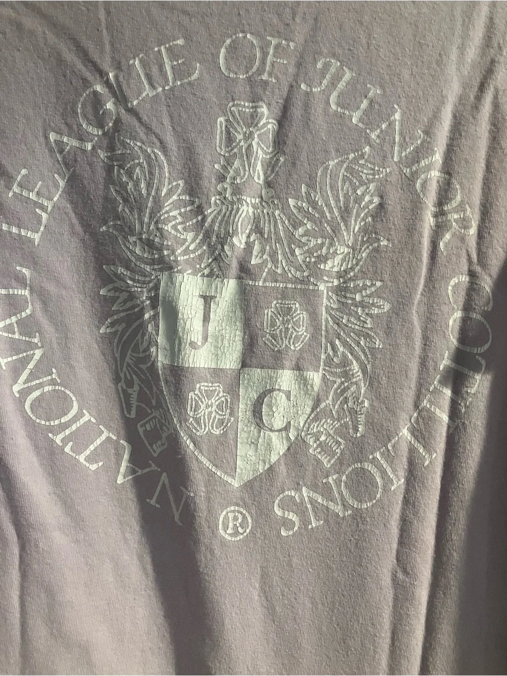 Classic Men's Lavender Crew Neck T-Shirt Size Large